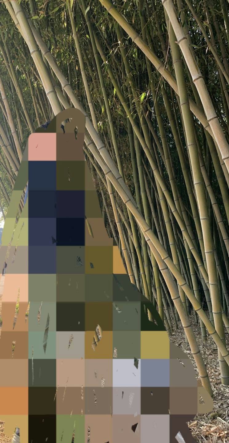 슬라이더 이미지