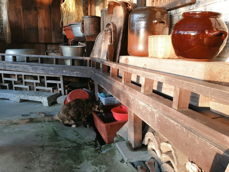 슬라이더 이미지
