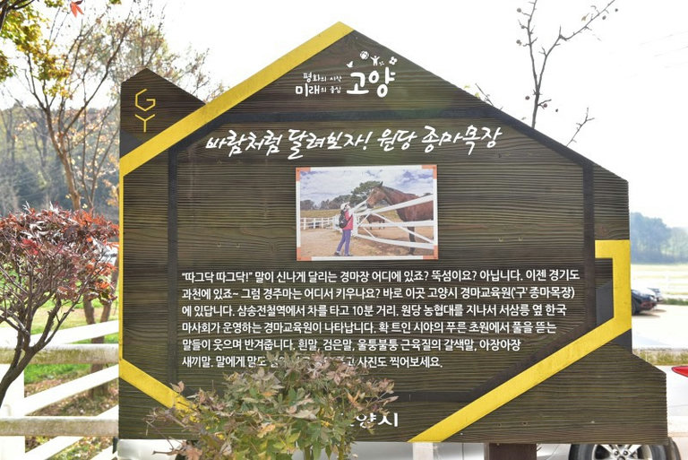 슬라이더 이미지