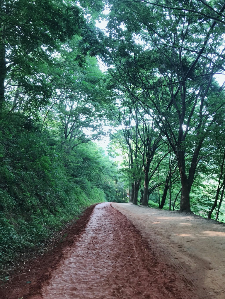 슬라이더 이미지