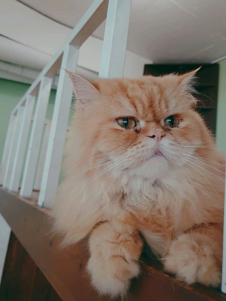 슬라이더 이미지