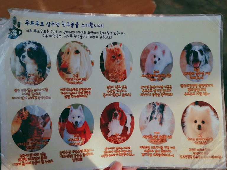 슬라이더 이미지