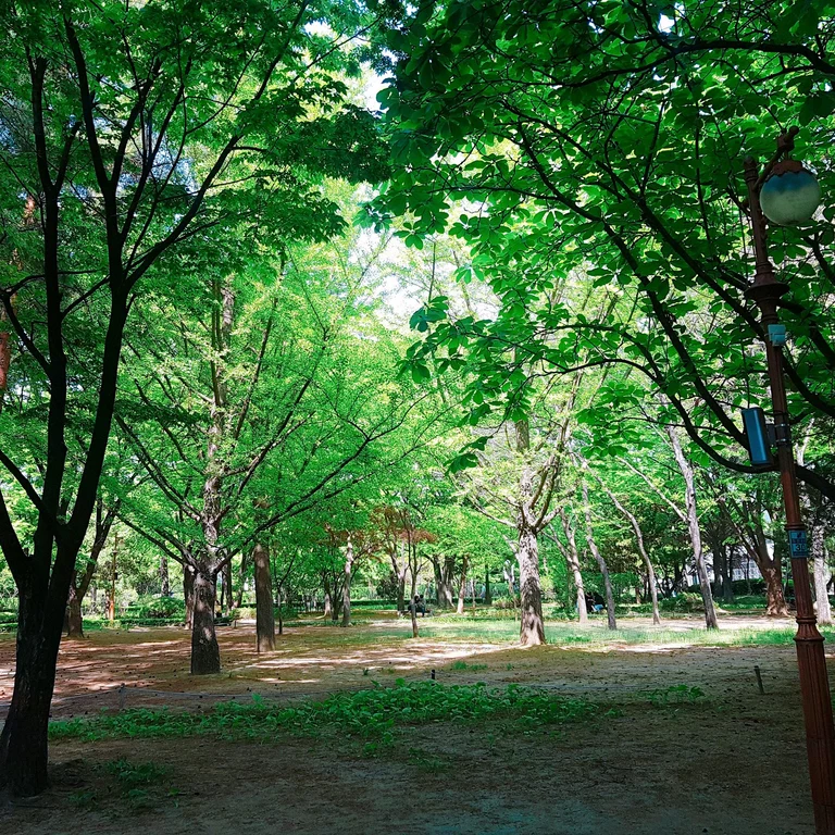 슬라이더 이미지