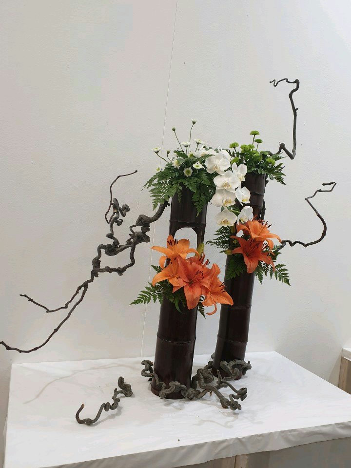 슬라이더 이미지