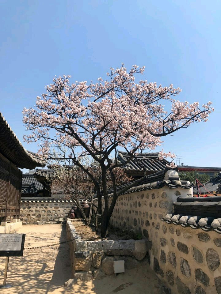 슬라이더 이미지