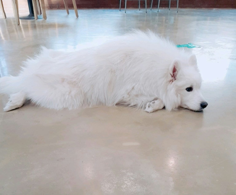 슬라이더 이미지
