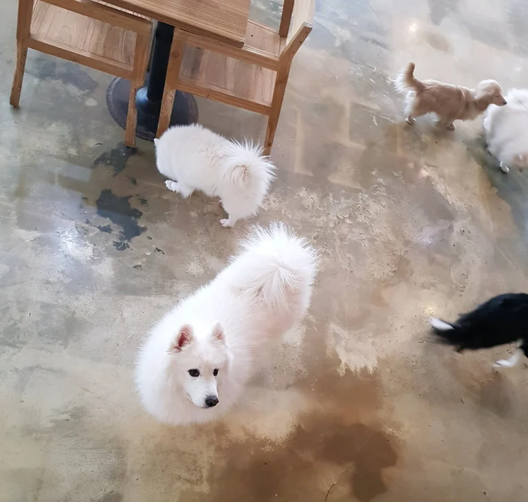 슬라이더 이미지
