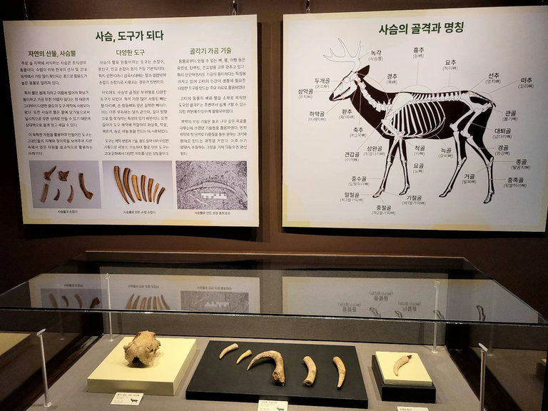 슬라이더 이미지
