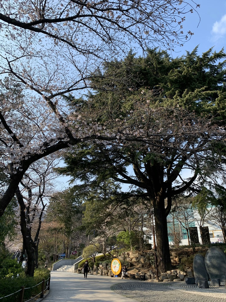 슬라이더 이미지