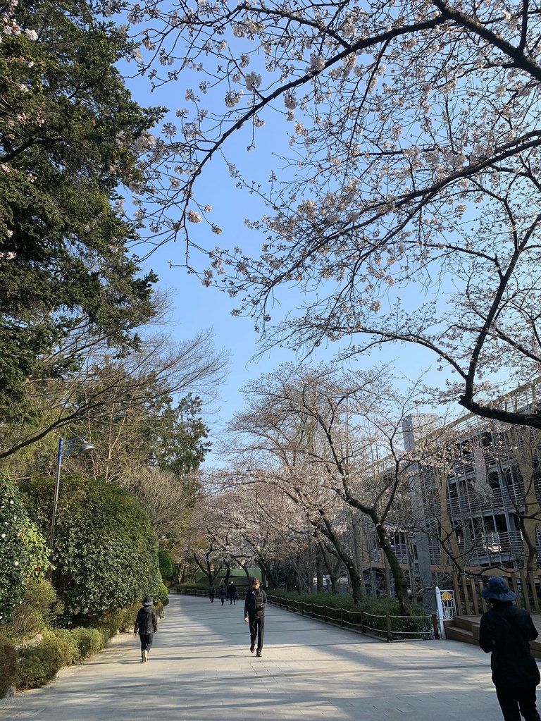 슬라이더 이미지