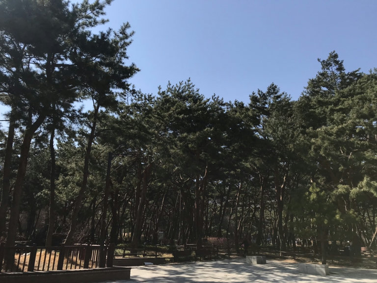 슬라이더 이미지