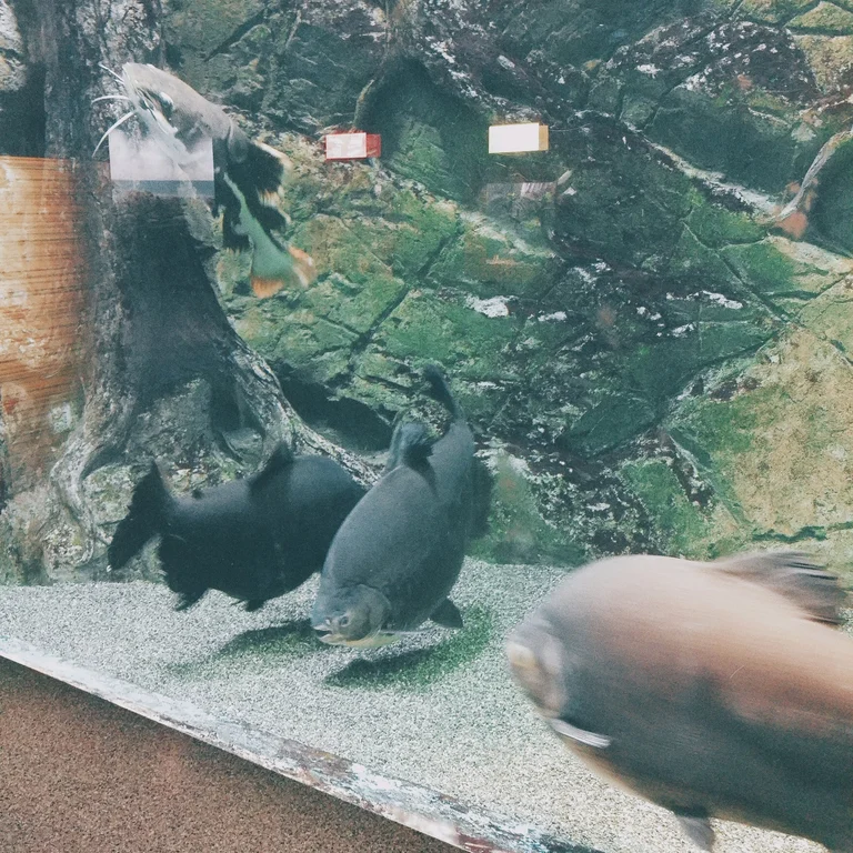 슬라이더 이미지