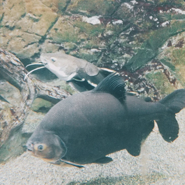 슬라이더 이미지