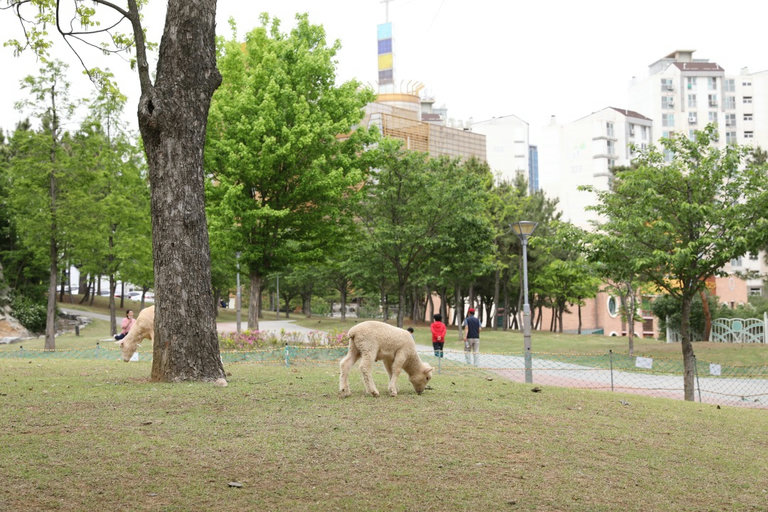 슬라이더 이미지