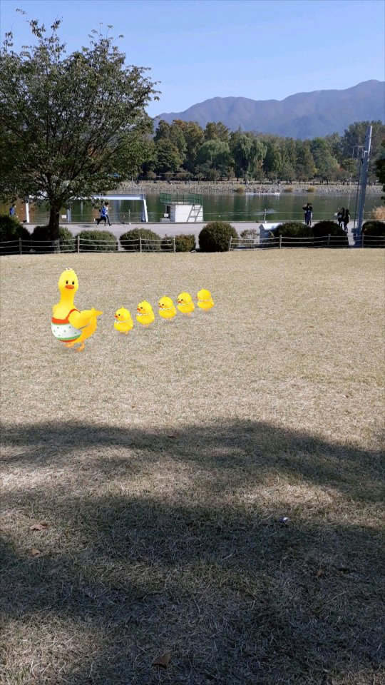 슬라이더 이미지