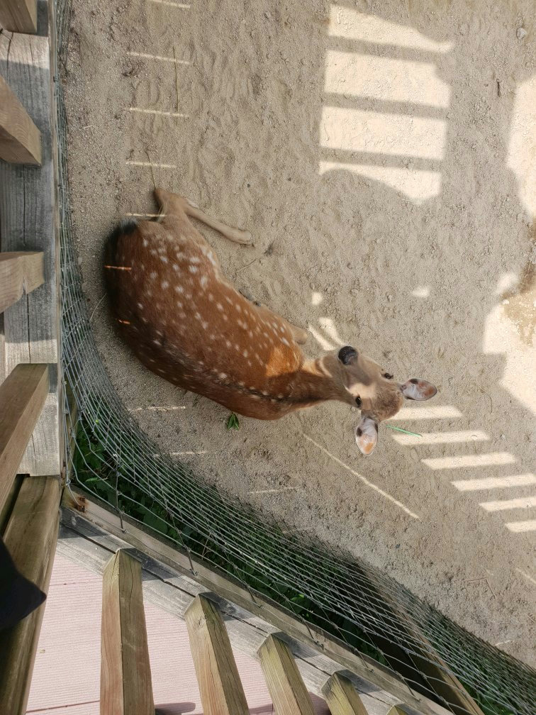 슬라이더 이미지