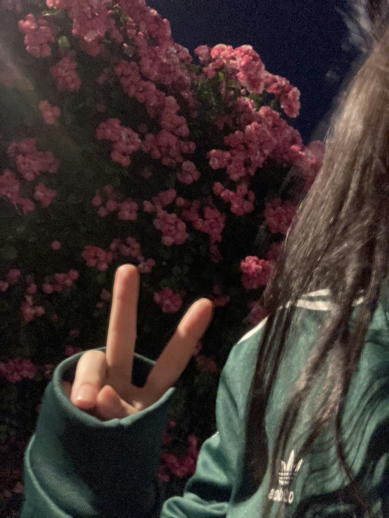 슬라이더 이미지