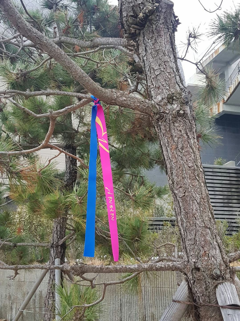 슬라이더 이미지