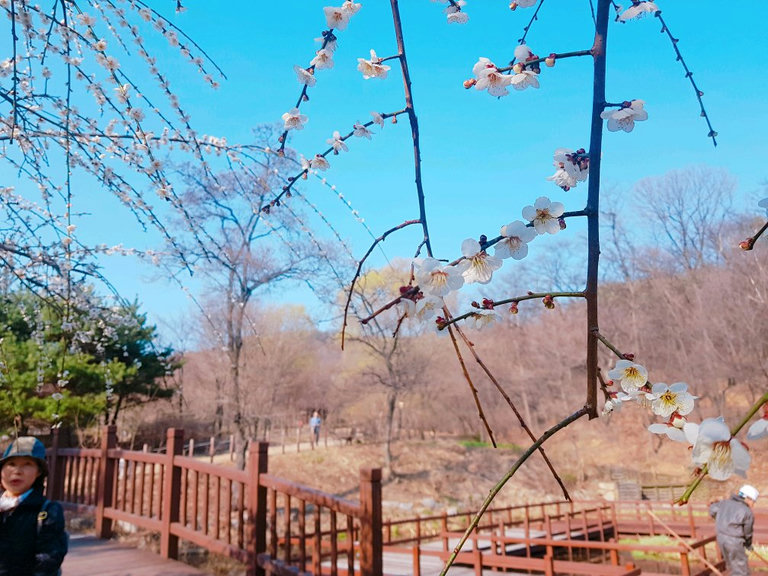 슬라이더 이미지