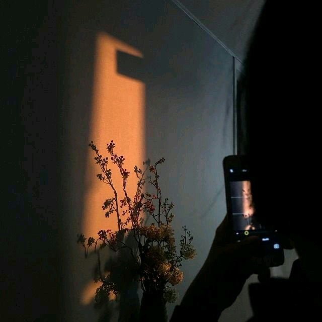 슬라이더 이미지
