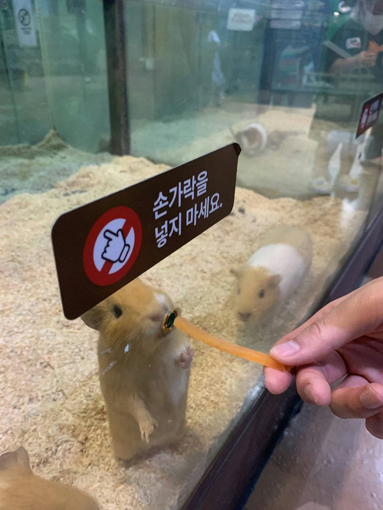 슬라이더 이미지