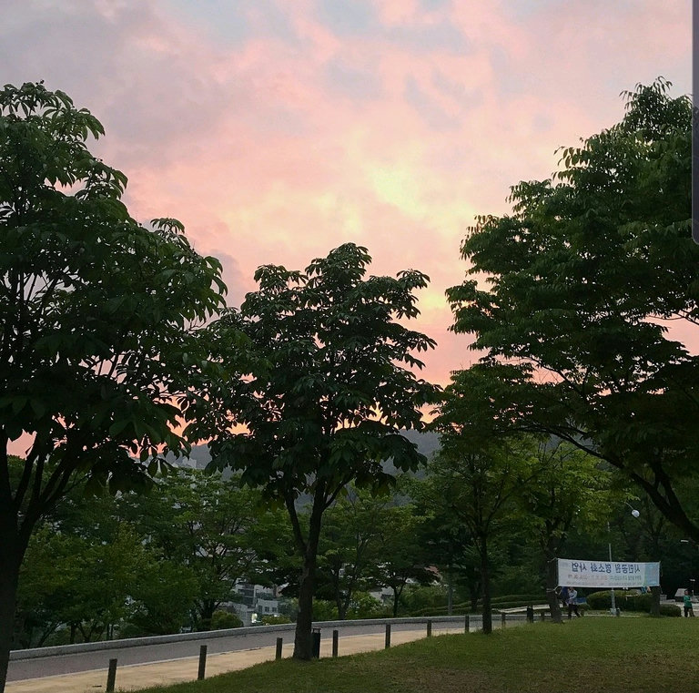 슬라이더 이미지