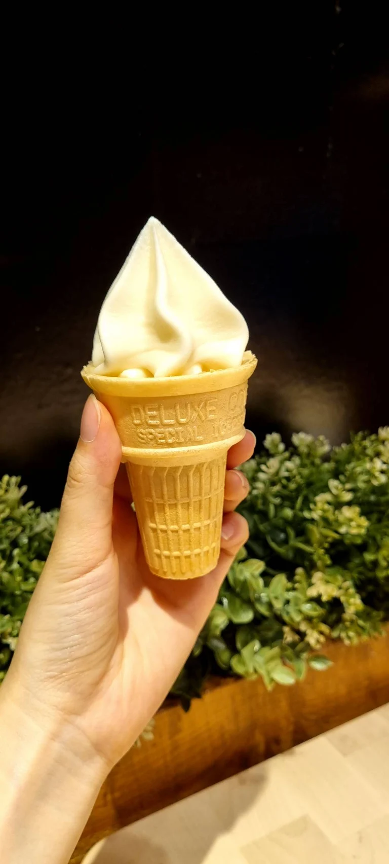 슬라이더 이미지