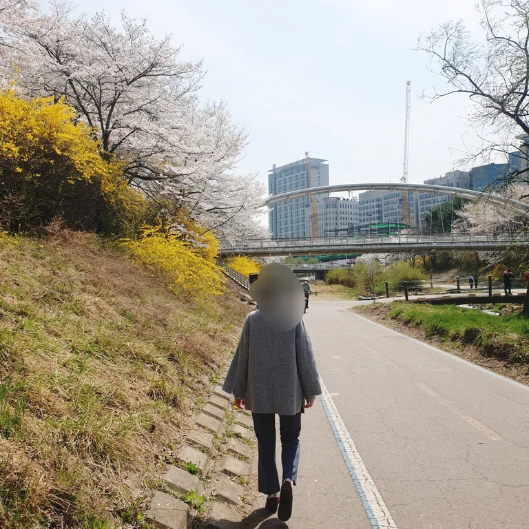 슬라이더 이미지