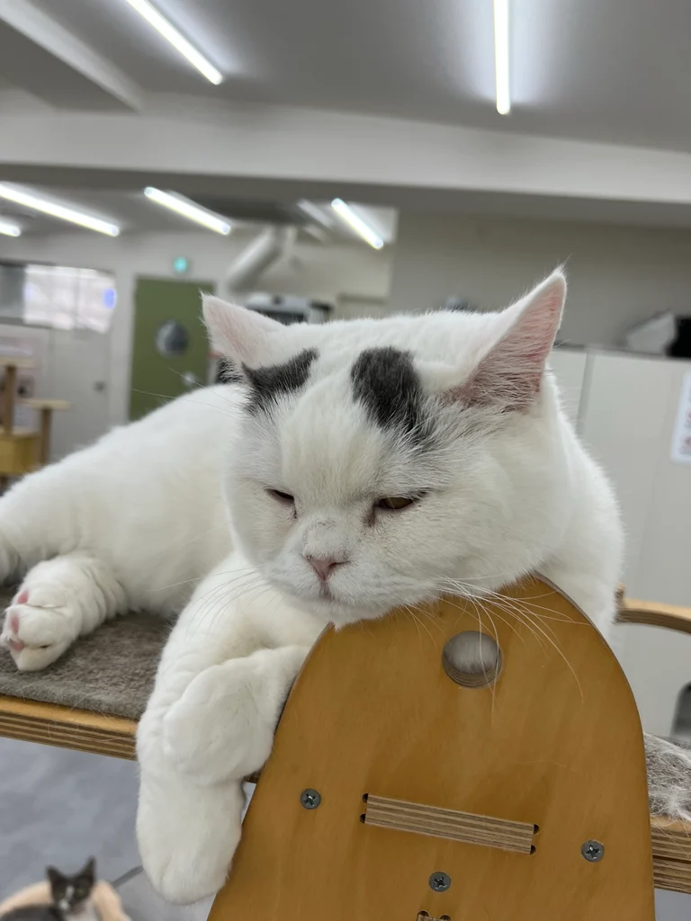 슬라이더 이미지