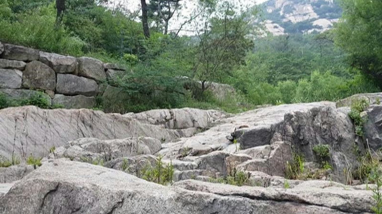 슬라이더 이미지