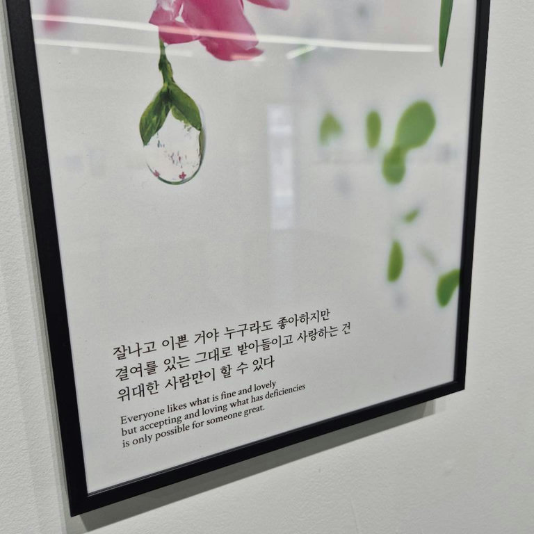 슬라이더 이미지