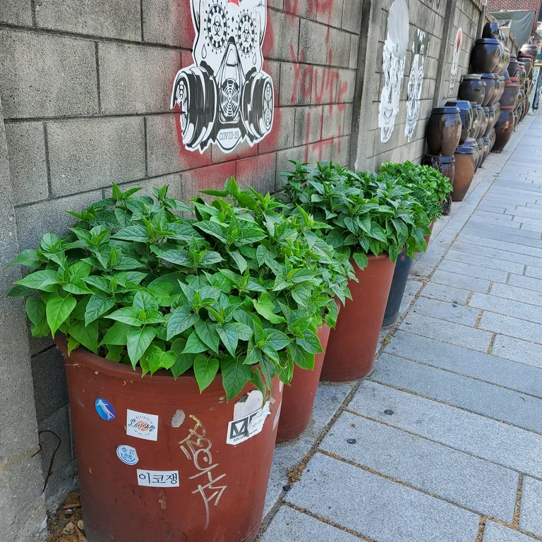슬라이더 이미지