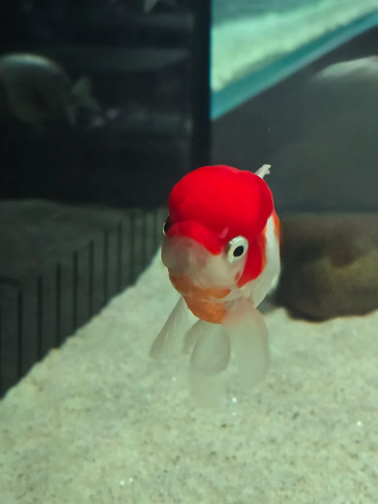 슬라이더 이미지