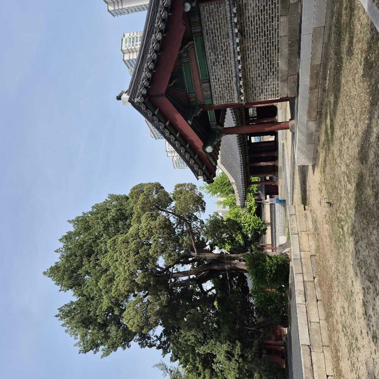 슬라이더 이미지