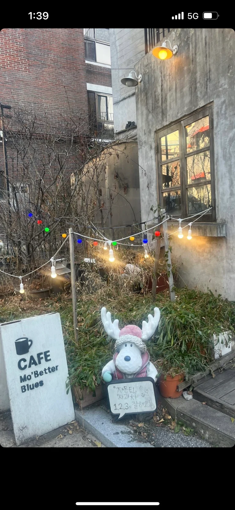 슬라이더 이미지