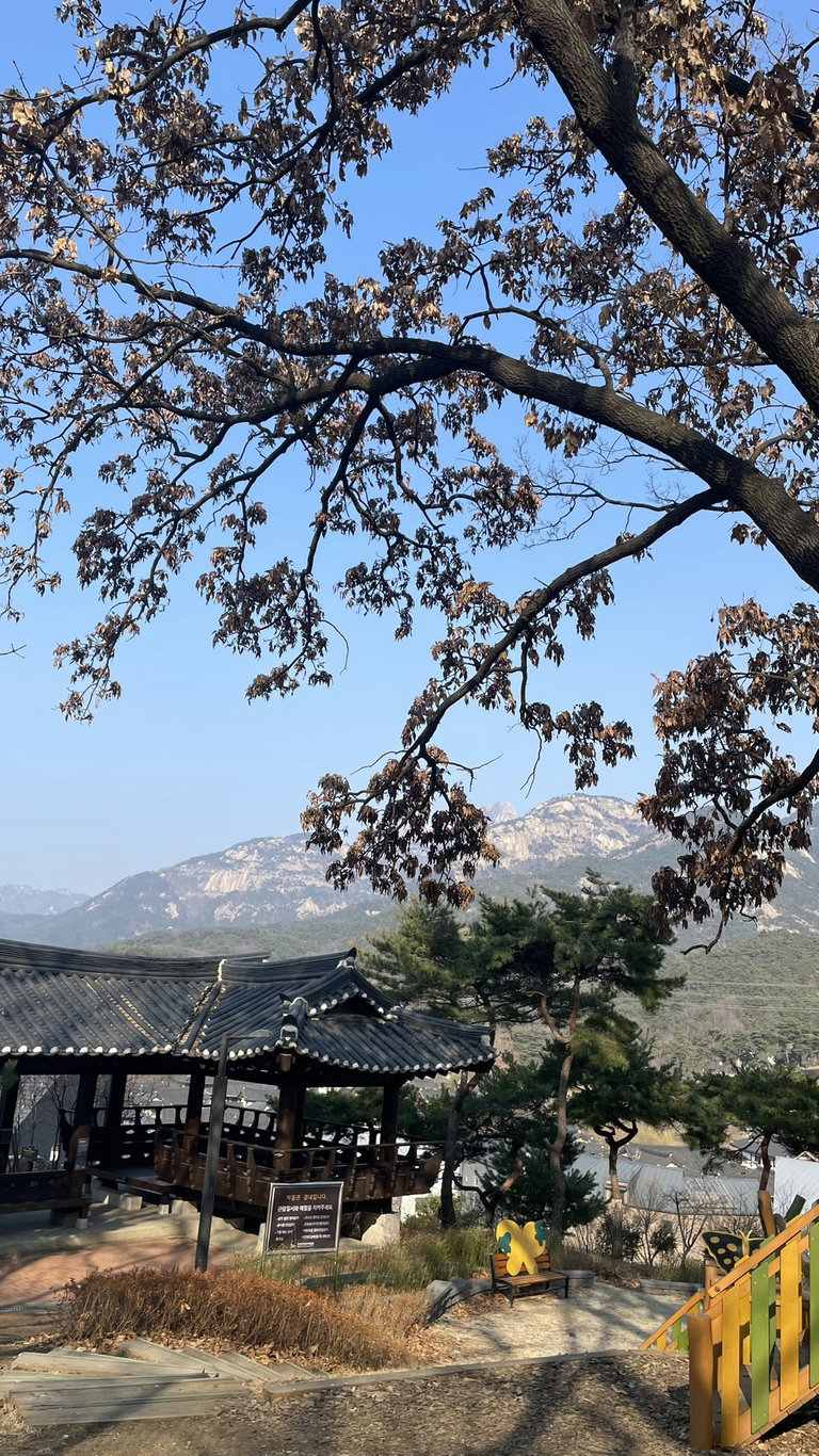 슬라이더 이미지