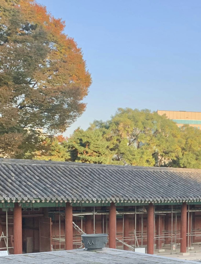 슬라이더 이미지