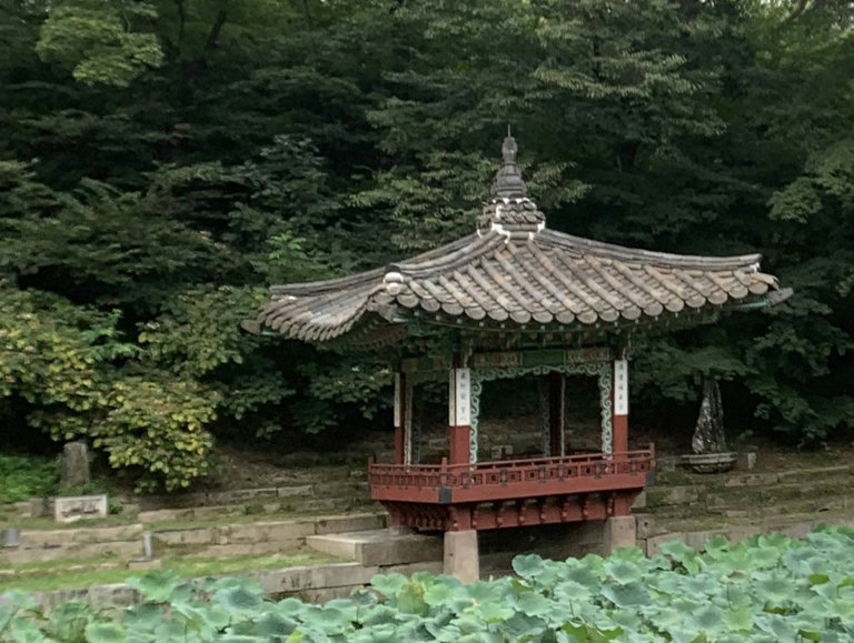 슬라이더 이미지