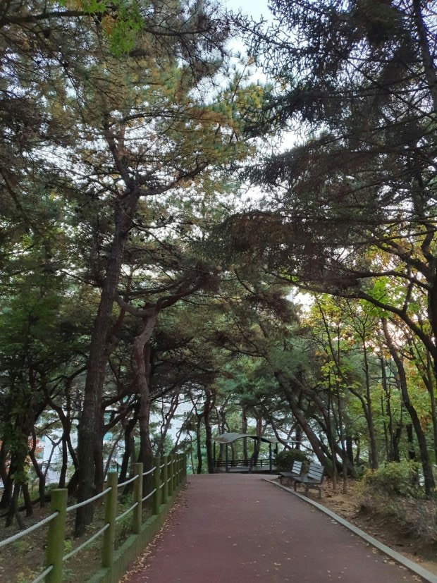 슬라이더 이미지