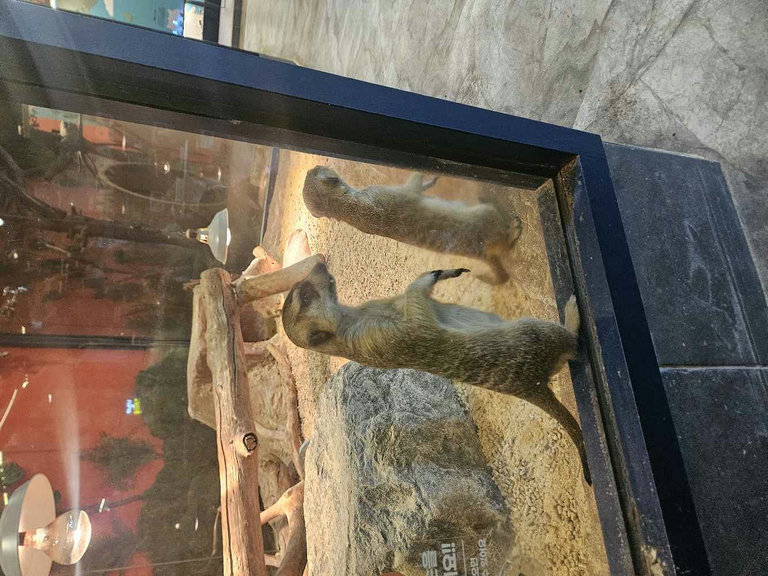 슬라이더 이미지