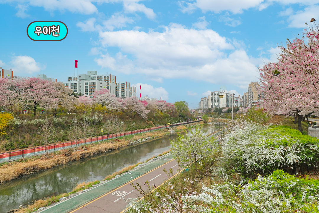 젤라또 먹고 우이천 산책까지 완벽한 힐링 코스🌿