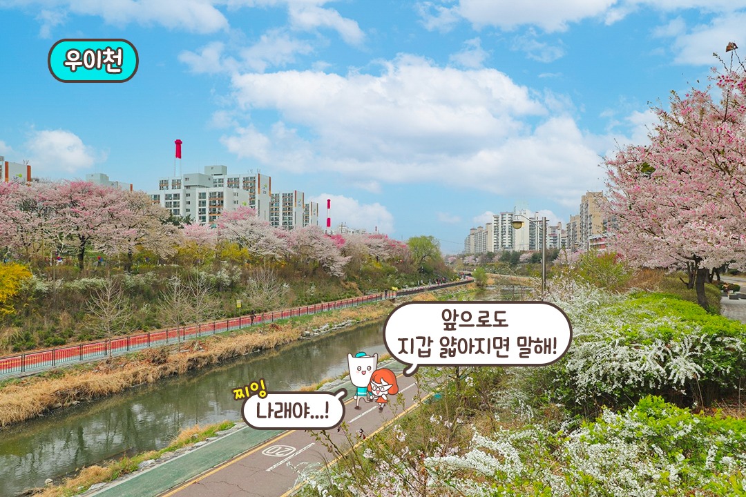 심심할 때 다트도 즐겨 주면 완벽한 시간