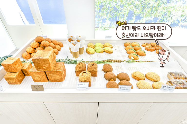 고르는 재미가 있는 곳!
