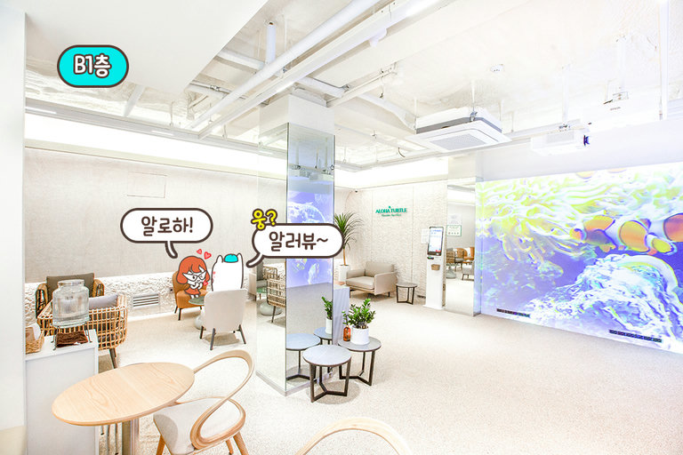 하와이 느낌 그대로! 채광이 좋은 곳☀