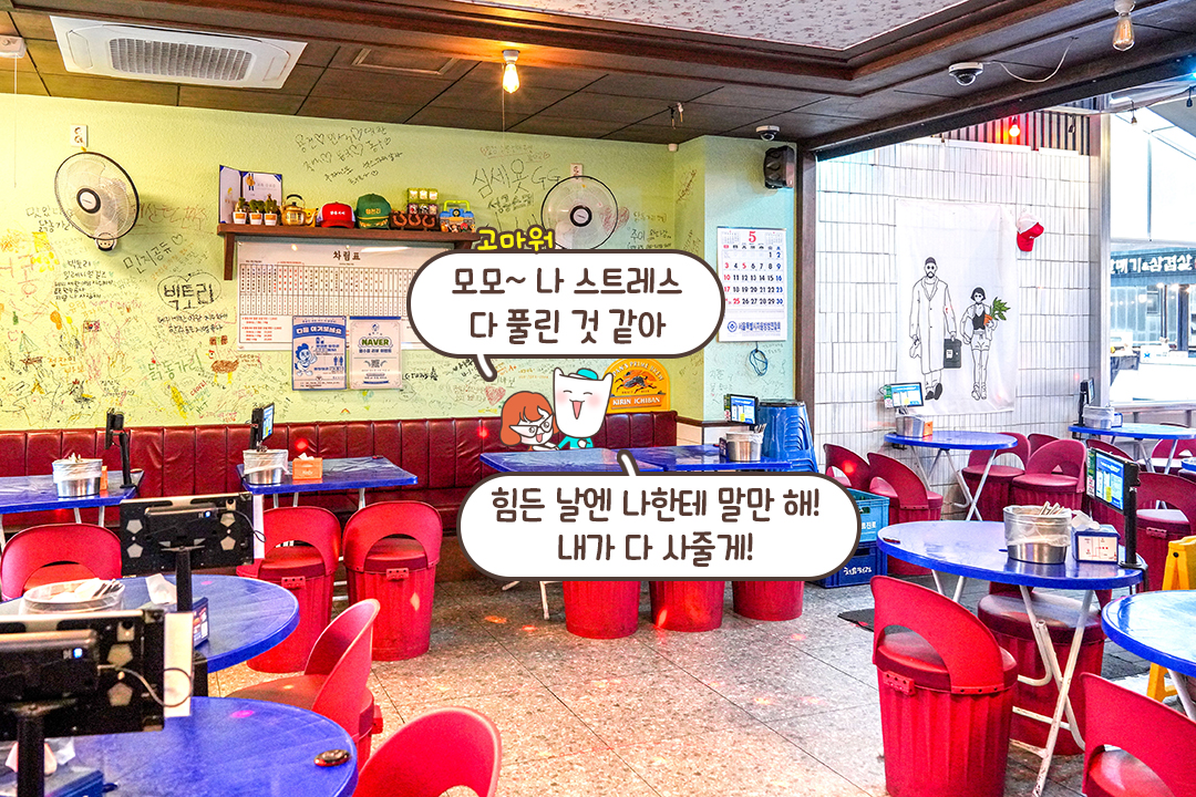 더 유명해지기 전에 꼭 가야 할 닭동가리