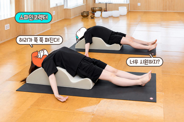 스파인 코렉터로 시원하게 스트레칭