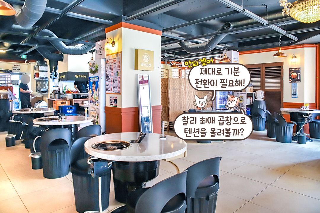 🔥쇼로 눈까지 즐거운 이곳