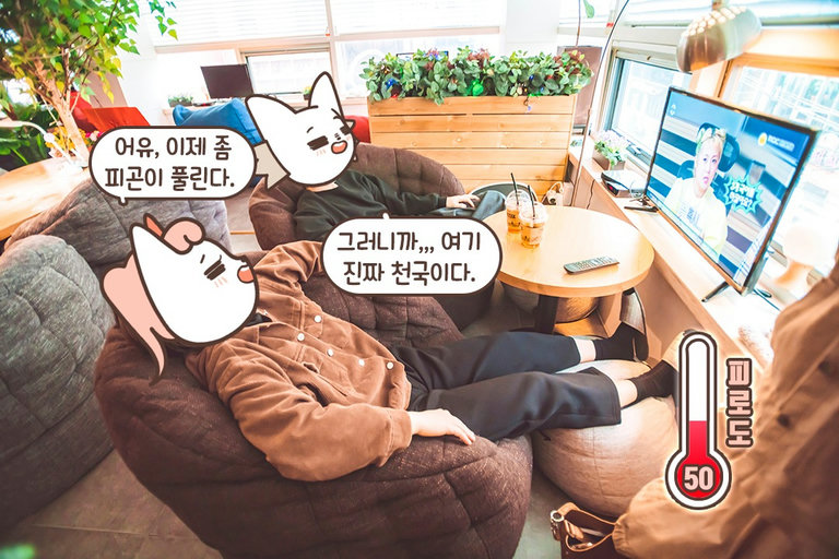 잠이 솔솔〰