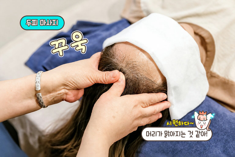 이런 게 바로 힐링 아니겠습니까🍀