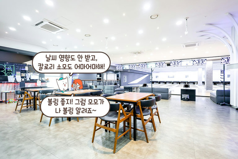 초보자부터 실력자까지👌